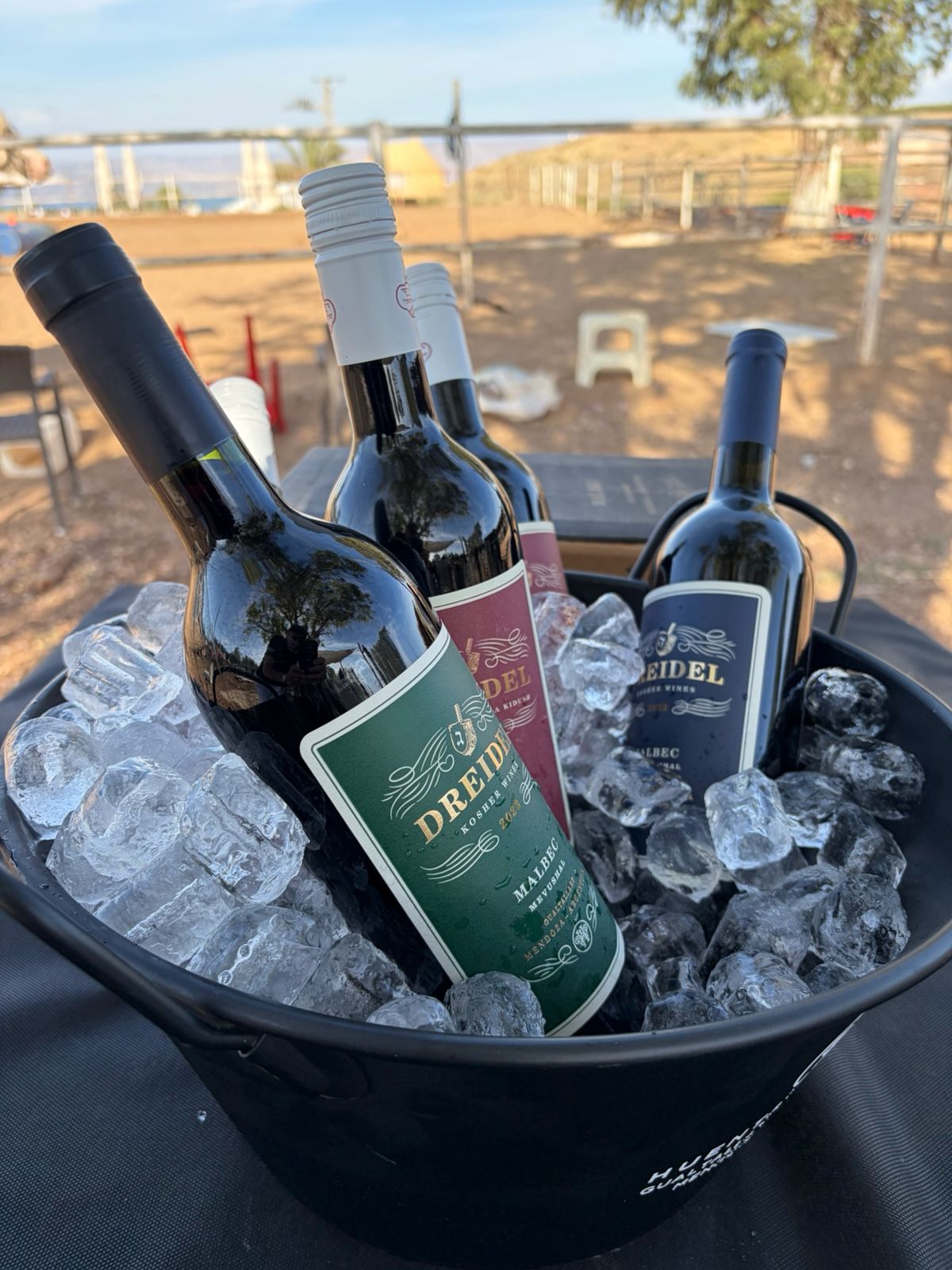 Kosher Argentinian Malbec wines on ice at the ranch